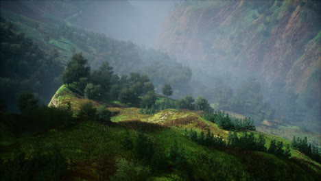shot of a creek in the middle of green woods surrounded by hills