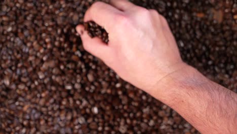mano recogiendo granos de café ion cámara lenta en foco hd