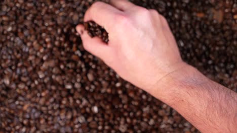 hand picking up coffee beans ion slow motion into focus hd