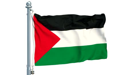 palestinian flag waving on white background, animation. 3d rendering