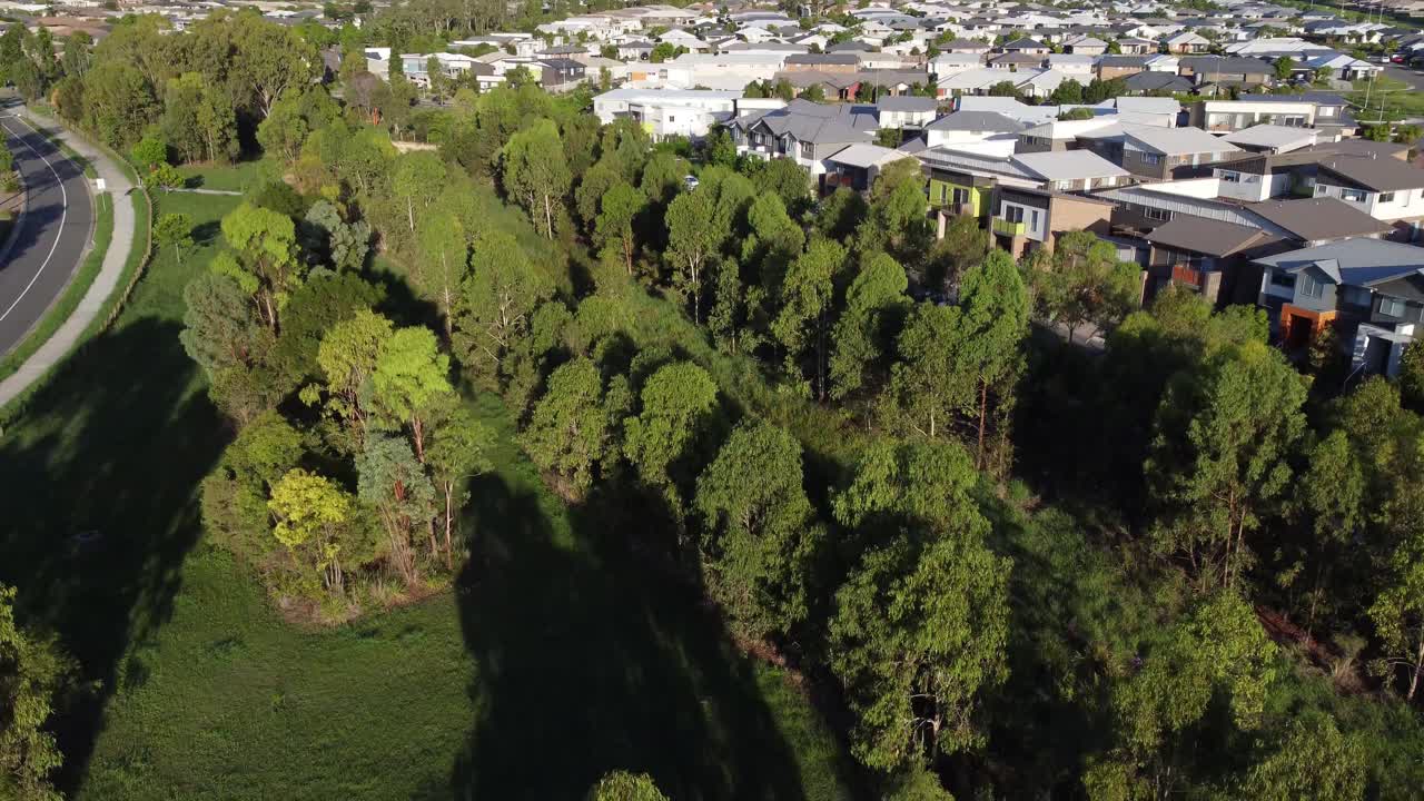 drone descendiendo en un parque verde rodeado de árboles
