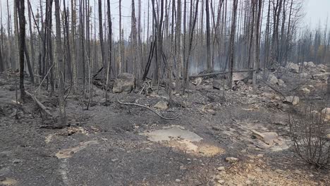 POV-View-Of-Clearing-In-Aftermath-Of-Aftermath-Of-Kirkland-Lake-KLK005-Forest-Fire-With-Smouldering-Smoke-In-Background