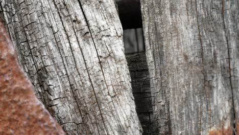 Grungy-vintage-weathered-wooden-backdrop-timber-and-rusted-steel-surface-texture-dolly-left-closeup