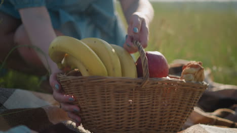 close-up shot of a woman in a blue gown, with her face not visible, placing a basket filled with bananas, apples, and other fruits on a checkered picnic blanket