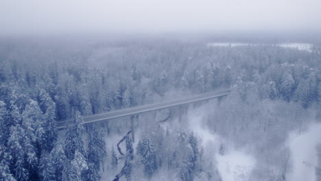 4k aerial video of northern nature forest in winter after snowstorm