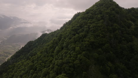 野生原生森林在山顶上,俯<unk>着小格鲁吉亚村庄,tiseli