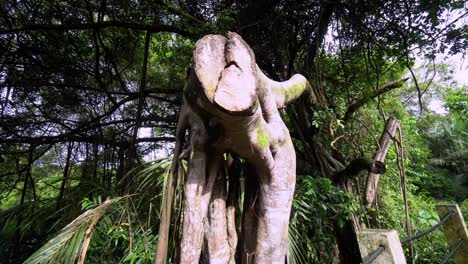 muévete hacia el árbol cortado.