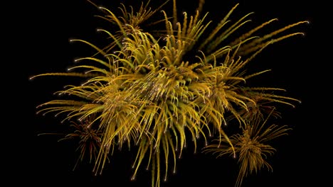 múltiples explosiones de fuegos artificiales con rastros.