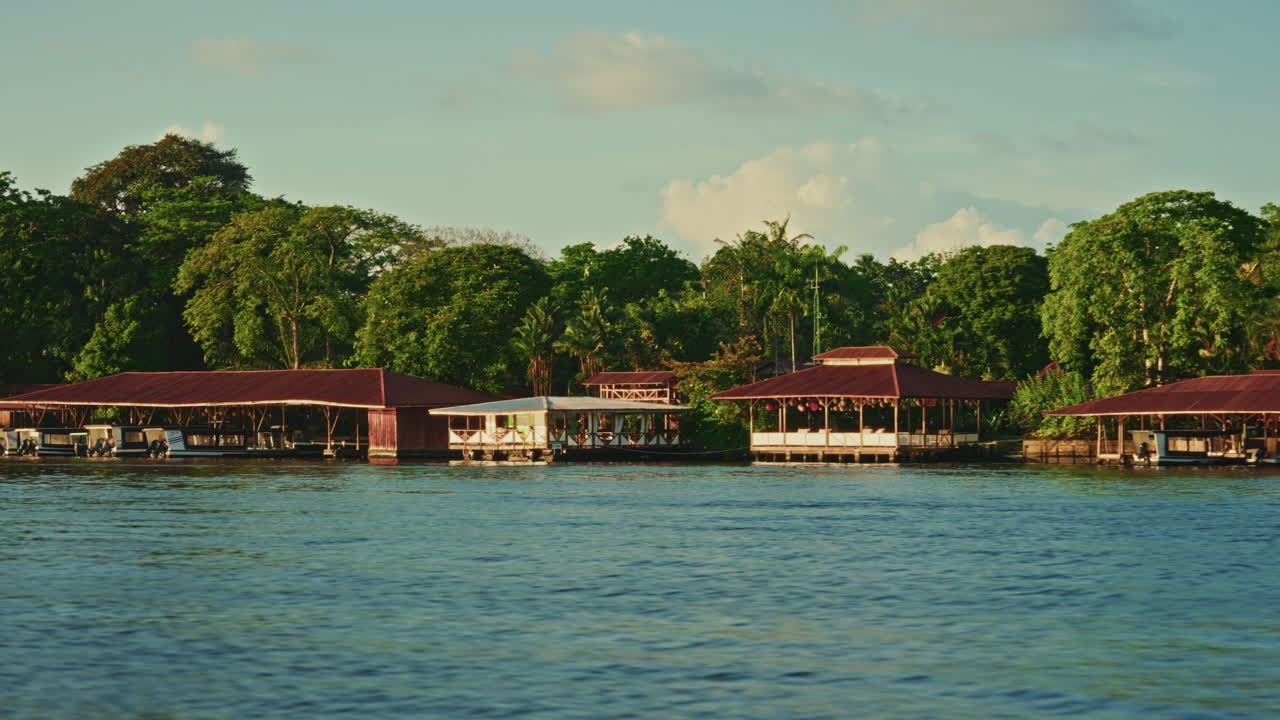 Navigating through the canals of Tortuguero National Park in Costa Rica. Panoramic view of the green lush vegetation and the rainforest. Natural reserve for wildlife and biodiversity.