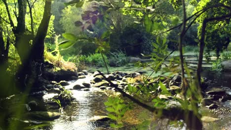 peaceful river flowing along rocks, wilderness forest, green leaves swaying in foreground