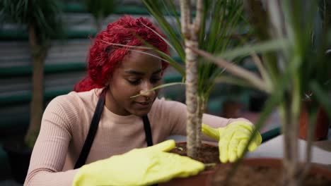 Female-botanist-working-at-small-shop,-taking-care-of-plants