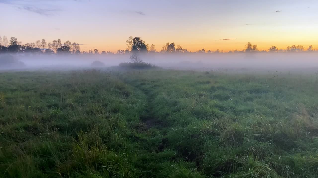 caminas solo a través de la hierba alta en la niebla al atardecer