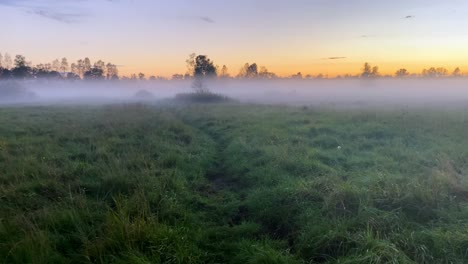 Caminas-Solo-A-Través-De-La-Hierba-Alta-En-La-Niebla-Al-Atardecer