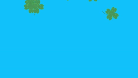 animación de hojas de suerte verdes en pantalla azul tecla de croma, elementos de fuente gráfica