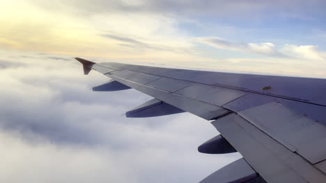 amanecer sobre el ala del avión