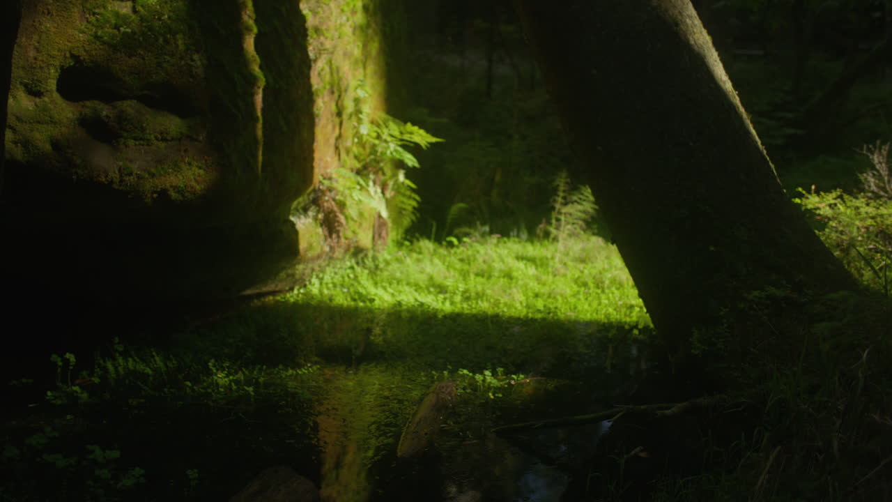 A natural stone formations called a "Stone Town" in Czech Republic