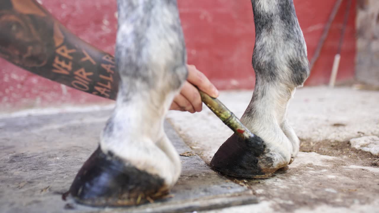 Primo piano di una persona che pulisce lo zoccolo di un cavallo
