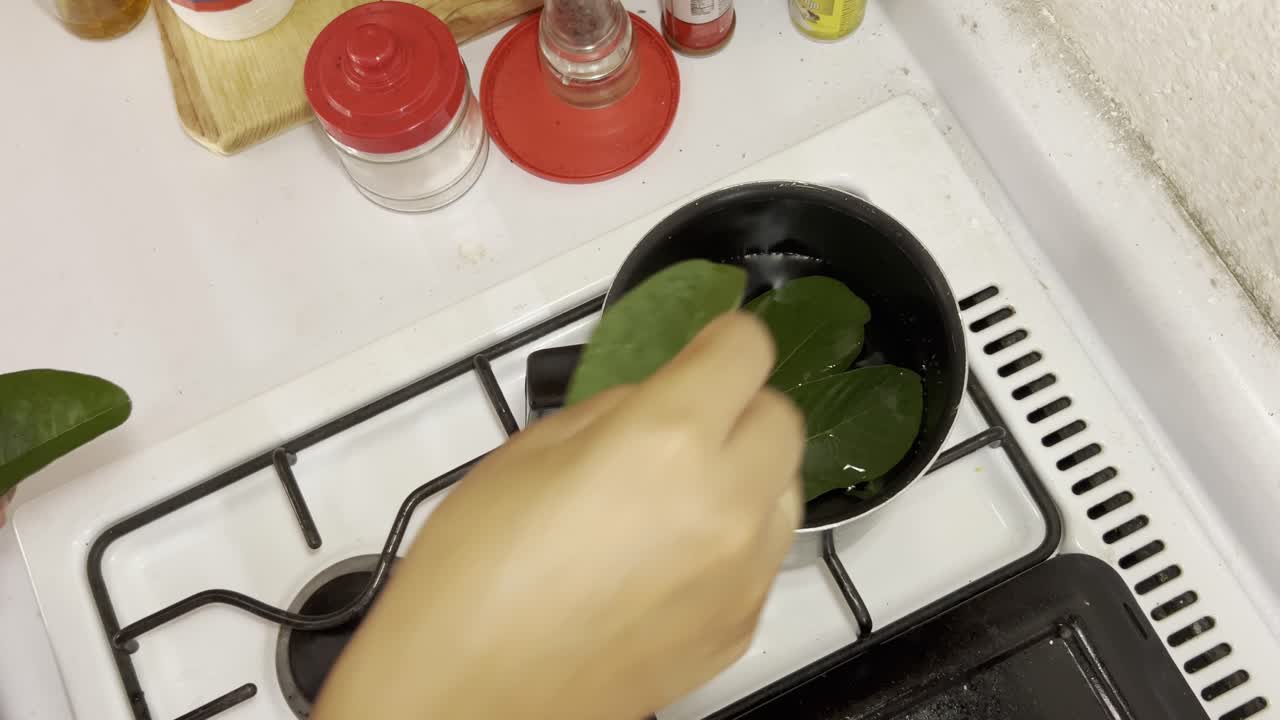Female hand places nopal cactus leaves in a pot of water on a white gas stove in a home kitchen.