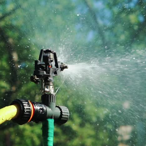 watering lawn in green garden