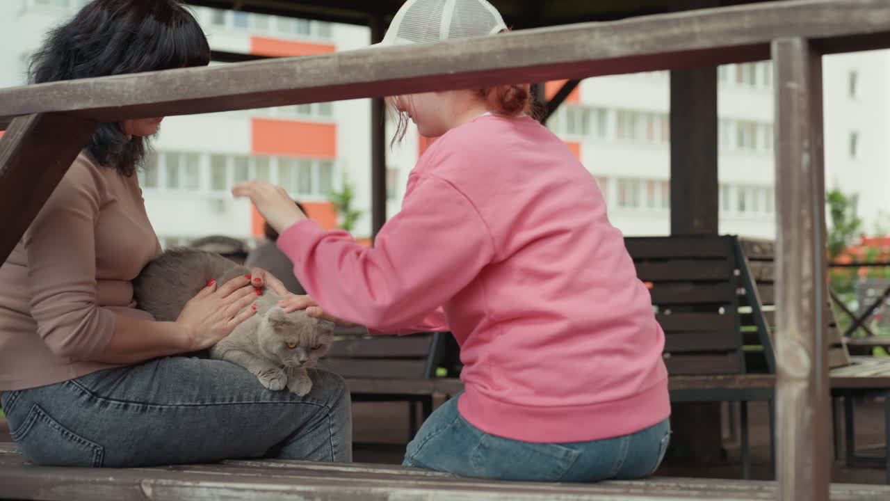 Neighbor And Teenager Kneel At Bench To Examine Small Pet Together, Close Hands And Focused Faces, Urban Playground And Colorful Blocks Behind, Daytime Tenderness And Cooperative Care, Casual Clothing