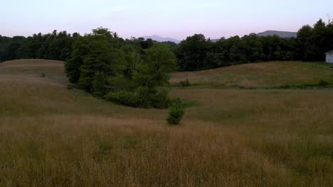 Fescue-in-field-aerial-toward-grandfather-mountain-nc-near-boone-and-blowing-rock-nc,-north-carolina