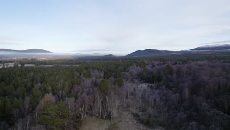 aerial view of a frosty winter forest in the scottish highlands