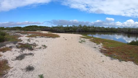 a white sand beach with green plants and a lake surrounded by trees are found on an island in the galapagos islands. a blue sky with some clouds