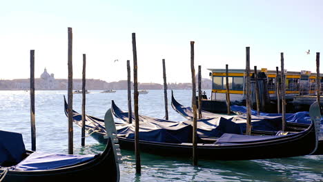 gondolas floating at canal dock in venice, italy, with cityscape background