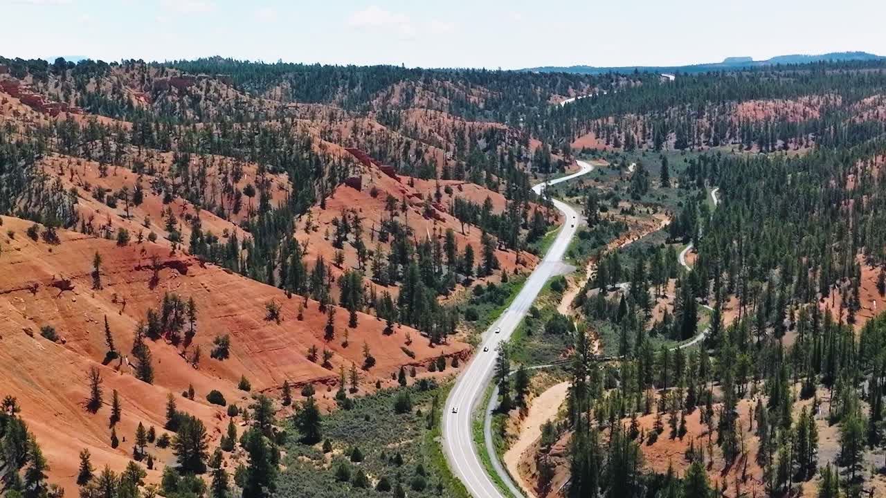 Una strada panoramica si snoda attraverso il paesaggio del Mojave con colline rosse e alberi.