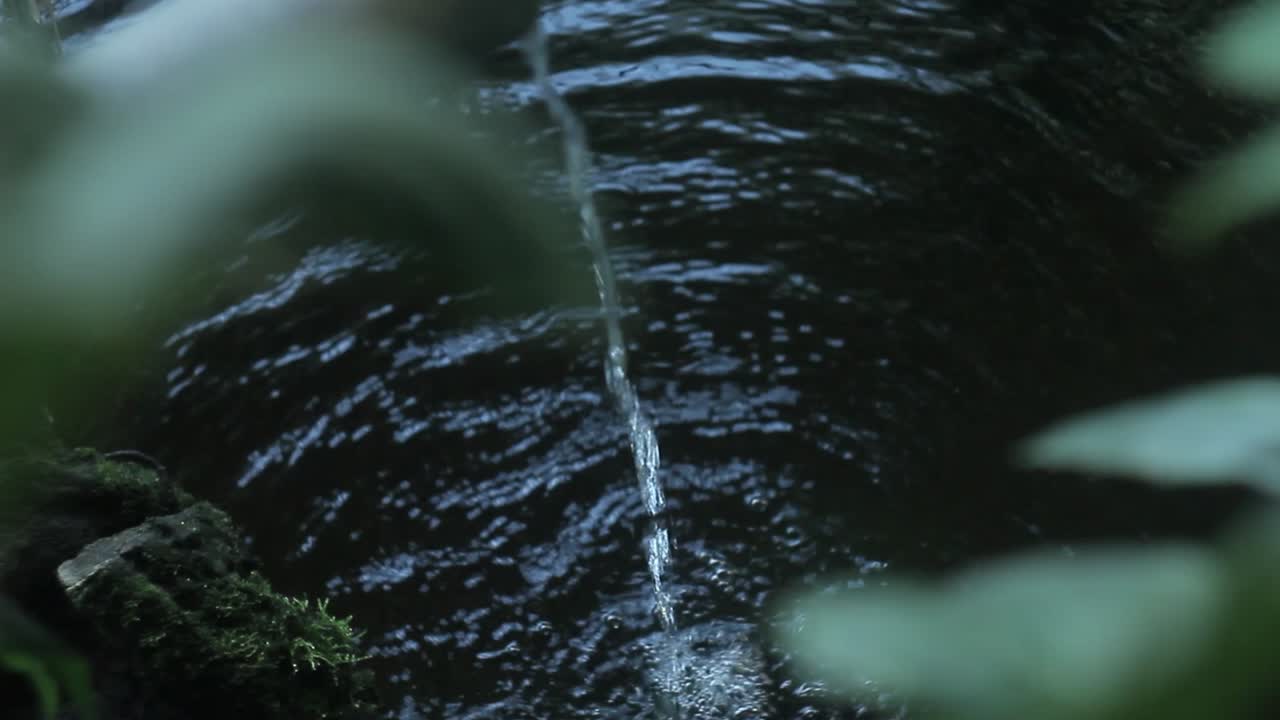 A little pool in the center of the garden. The sky is clouded and soft light enters the garden through large windows!The water falls into the pool forming small waves!