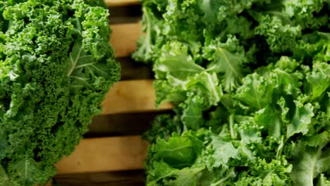 Green-leafy-vegetable-in-wooden-tray-placed-on-wooden-platform-4K-4k