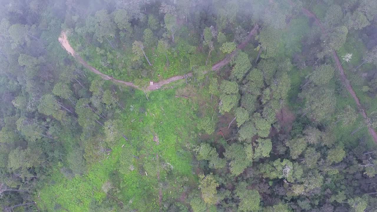 imágenes de drones de cabañas ocultas y caminos sinuosos en un bosque mexicano