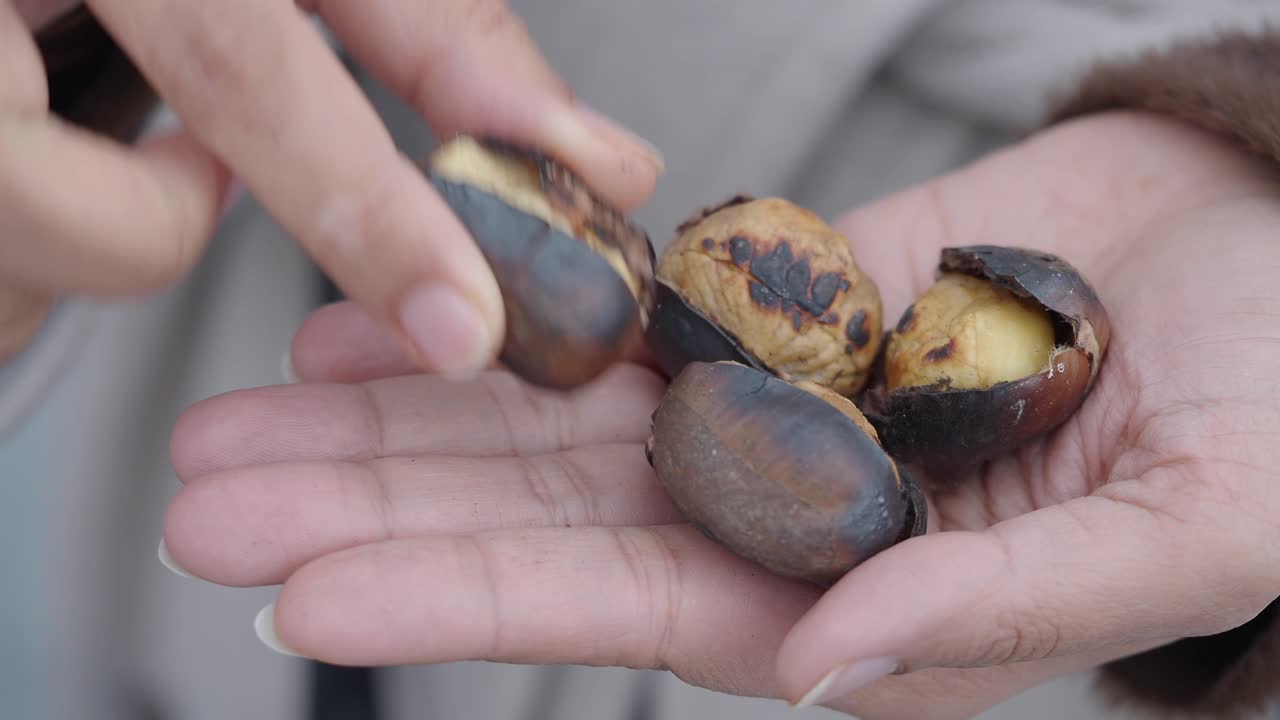 Close-up of Roasted Chestnuts Held in a Hand