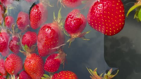 Nahaufnahme-Einer-Gesunden-Ernährung-Mit-Frischen-Früchten-Und-Erdbeeren
