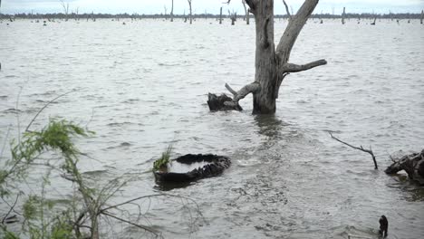 día extremadamente ventoso y nublado en las olas del lago en invierno