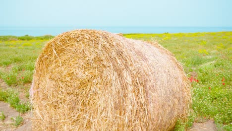 um palheiro com feno no campo verde em frente ao mar