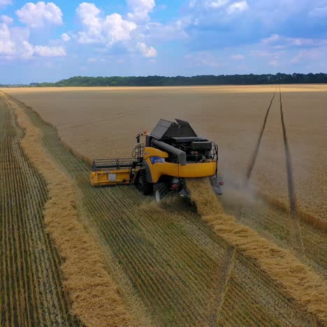 combine harvester landbouwmachine rijden in het veld van gouden rijpe tarwe