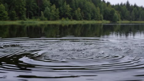 ripples on a lake with forest in the background