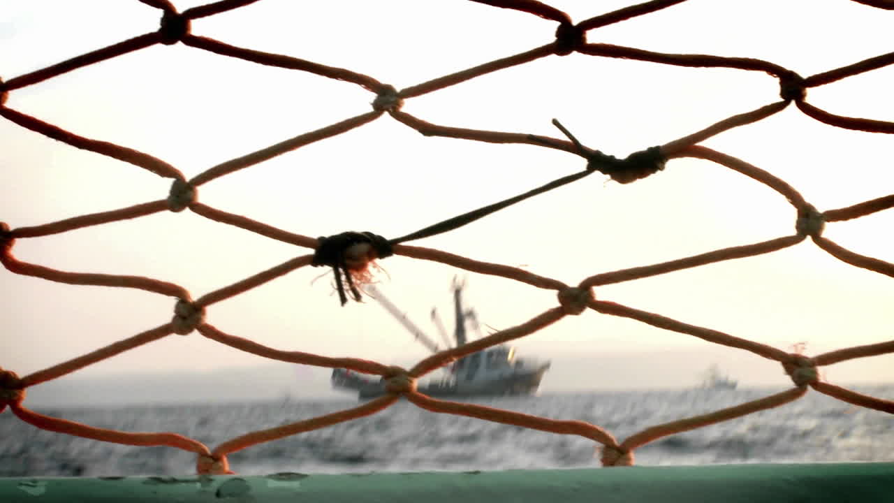 fishcutters는 열린 물을 가로 질러 탐색합니다.