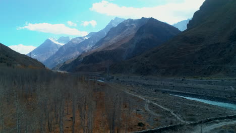 antena: hermosa vista del valle de la montaña himalaya en otoño con hojas arrojadas y majestuosas montañas rocosas cubiertas de nieve a distancia