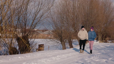 couple walking in snowy park