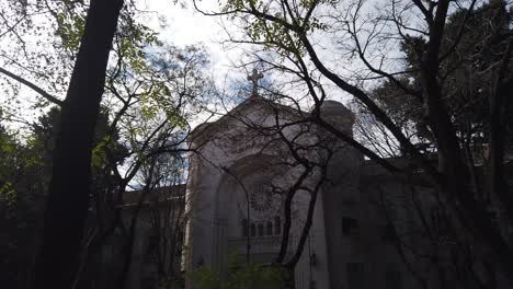 historic church facade seen through tree branches