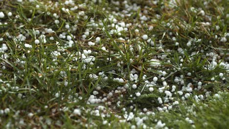 hail grains falling in to the grass close up