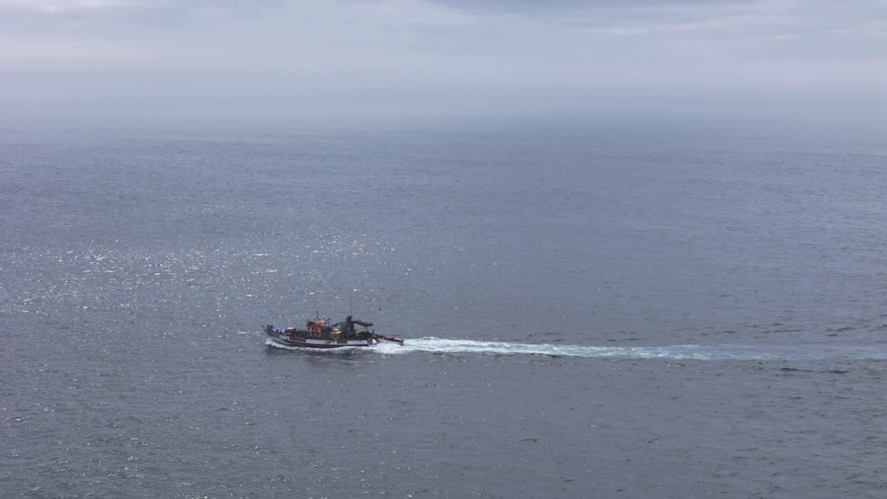 Fishing boat surrounded by seagulls on the coast of Portugal