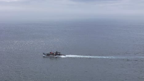 fishing boat surrounded by seagulls on the coast of portugal