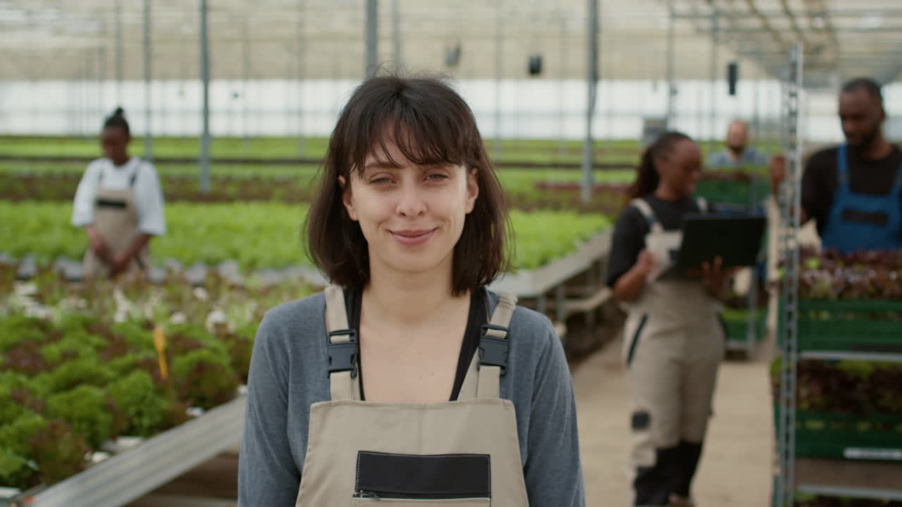 People working in a hydroponic greenhouse
