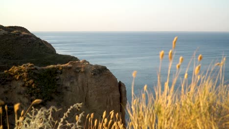 yellow grass gently blowing in the breeze in front of the cliffs and wide blue sea