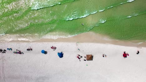 destin florida trucking left straight down aerial drone shot of the white sand beach and emerald green water of the gulf of mexico