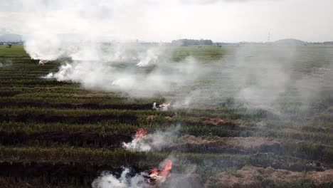 Offenes-Feuer-Verbrennt-Das-Stroh-Der-Ernte-Im-Malays-Village,-Südostasien.