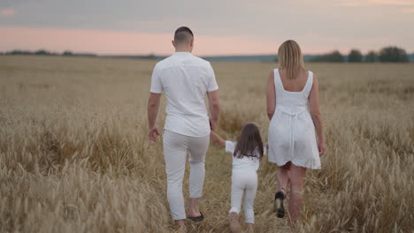 Young-couple-of-parents-with-girl-children-holding-hands-of-each-other-and-running-through-wheat-field-at-sunset.-Happy-family-jogging-among-barley-meadow-and-enjoying-nature-together.-Slow-motion